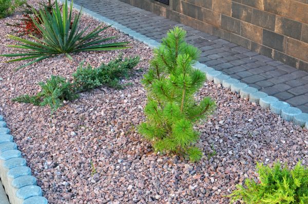 Gravel Yard Installation